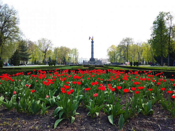 Полтава цветет: В Корпусном парке царит…