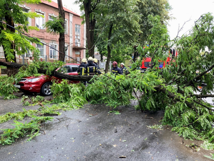 В Запорожье во время непогоды дерево упа…