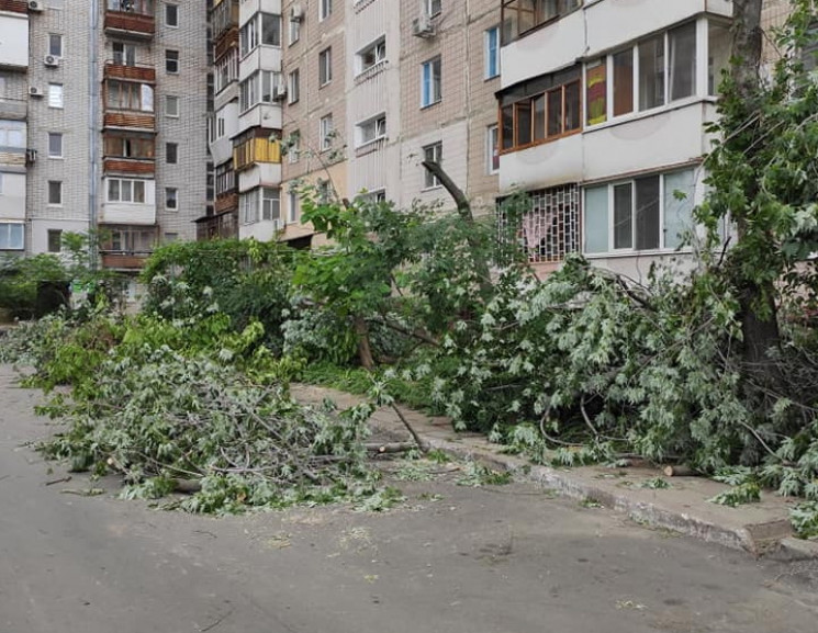 В Запорожье председателя ОСМД накажут за…