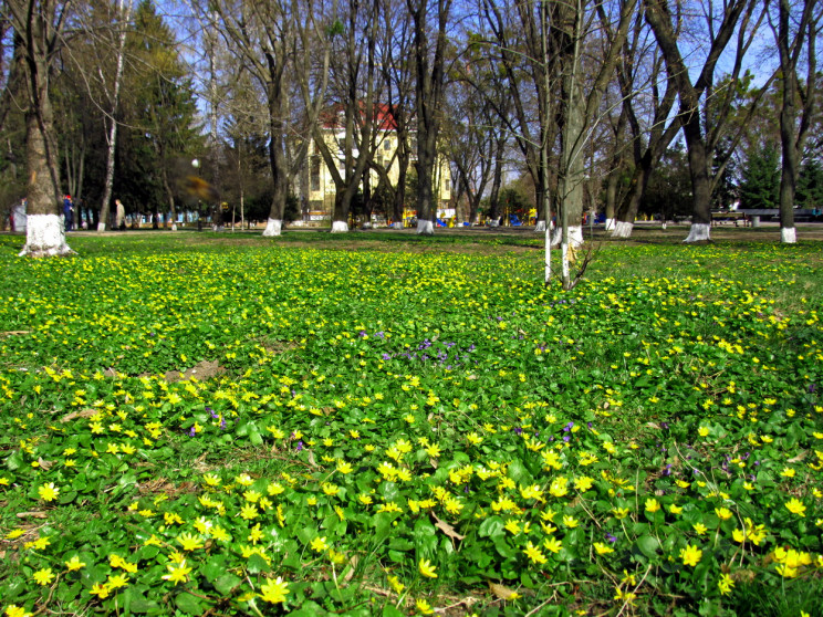 Хмарний вечір змінить ясний ранок: Якої…