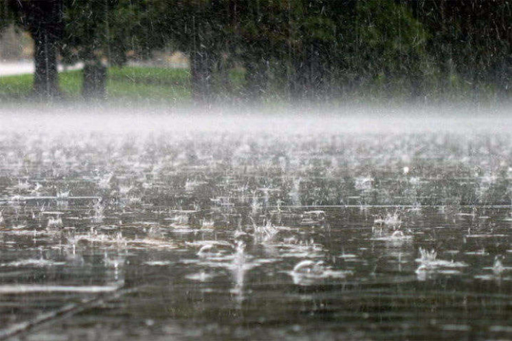 Сумчанам прогнозують дощ з градом…