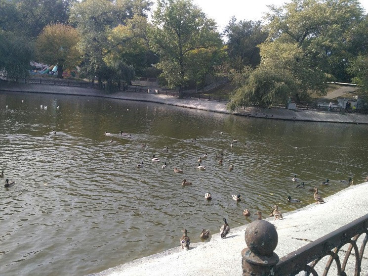 Озеро в парке Глобы в центре Днепра не б…