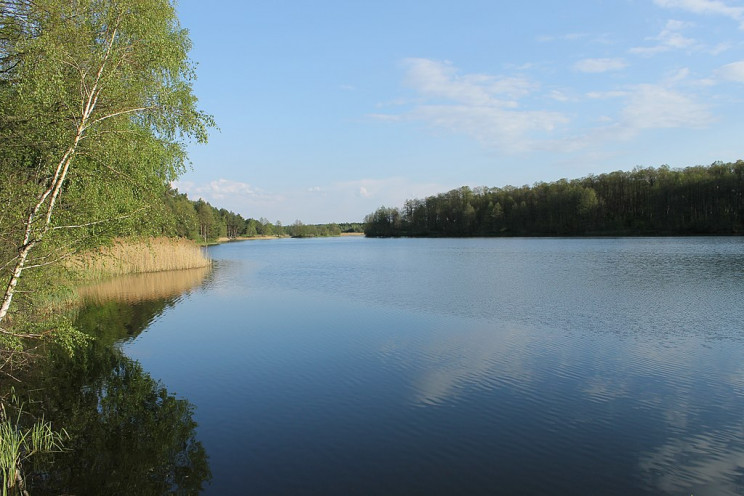 Кришталева вода в оточенні лісів: Чому в…