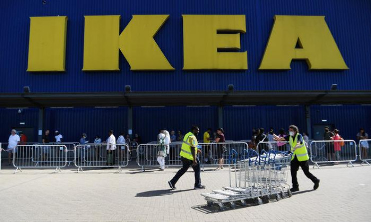 IKEA продает стулья из незаконно вырубле…