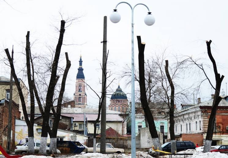 Харків’янка поскаржилася Зеленському на…