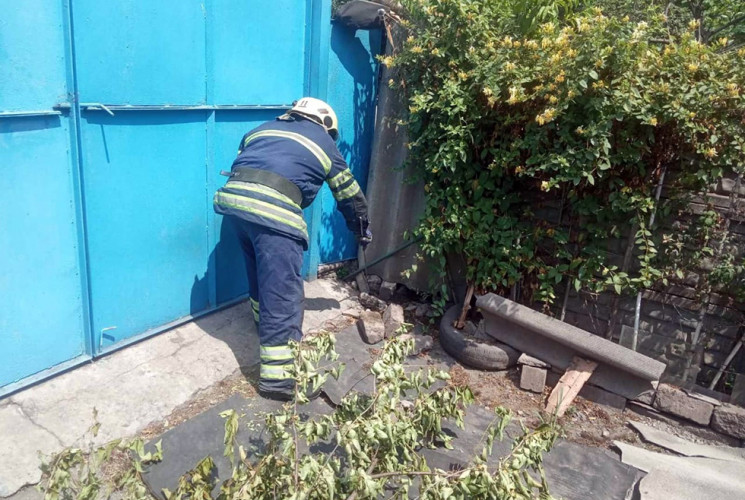 У Кривому Розі змія перелякала мешканців…