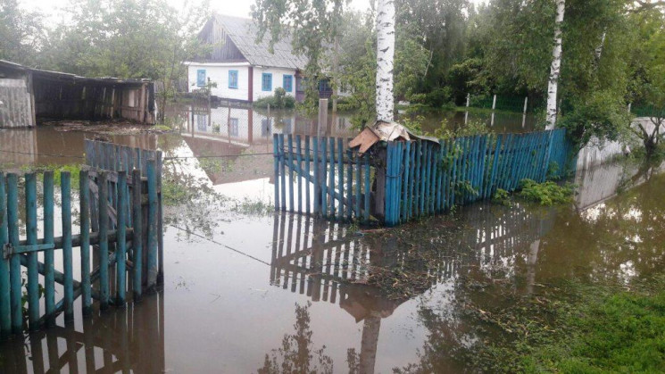У Стрийському і Старосамбірському района…