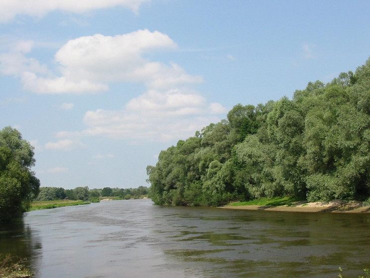 У Сокальському районі на березі Західног…