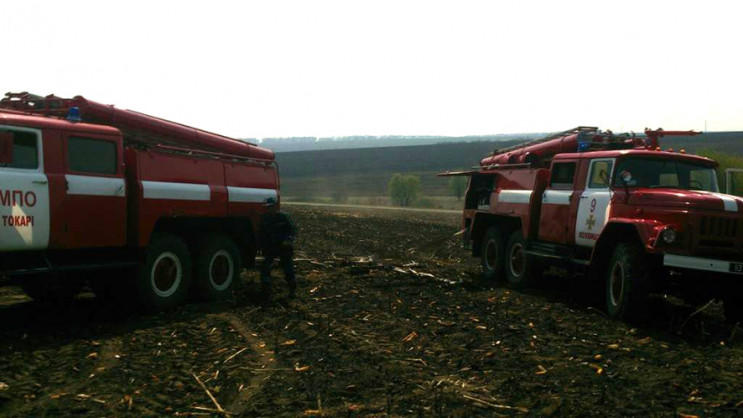 На Полтавшині посеред кукурудзяного поля…