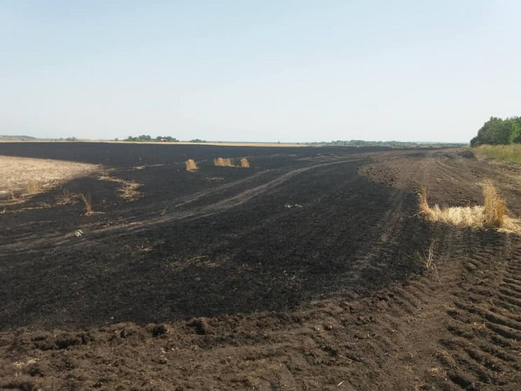 На Харьковщине дотла выгорело пшеничное…