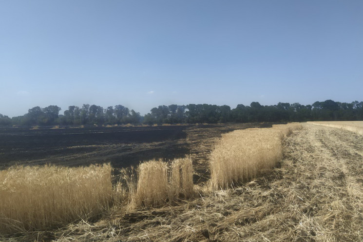 Підпал пшеничного поля на Харківщині: По…