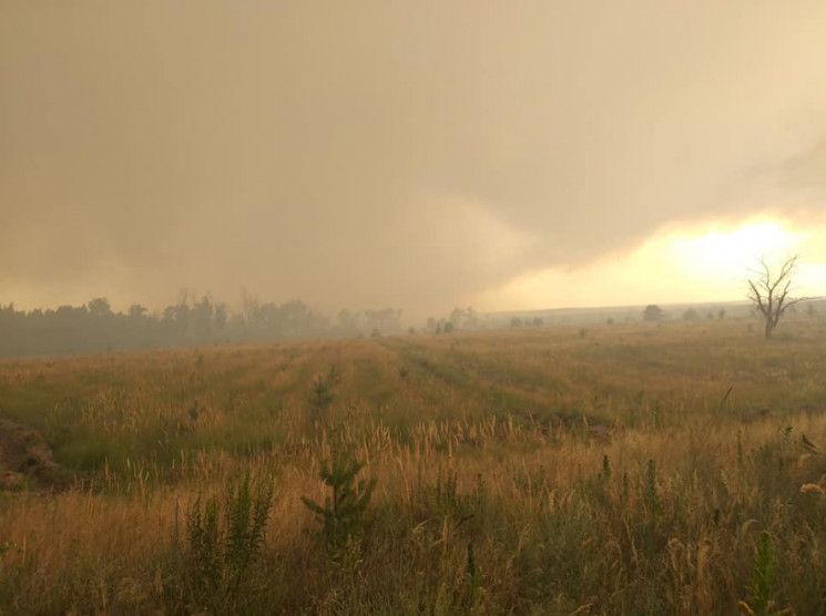 В Северодонецке горел лес сразу в пяти м…