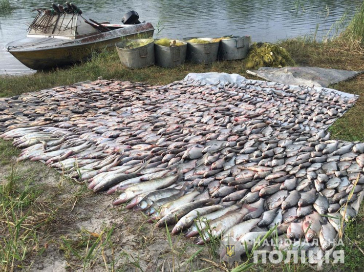 У Кам'янському водосховищі браконьєри не…