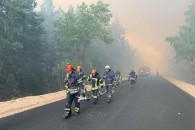 Лесные пожары на Луганщине: Один человек…