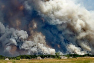 Лесные пожары на Луганщине: Жители собир…