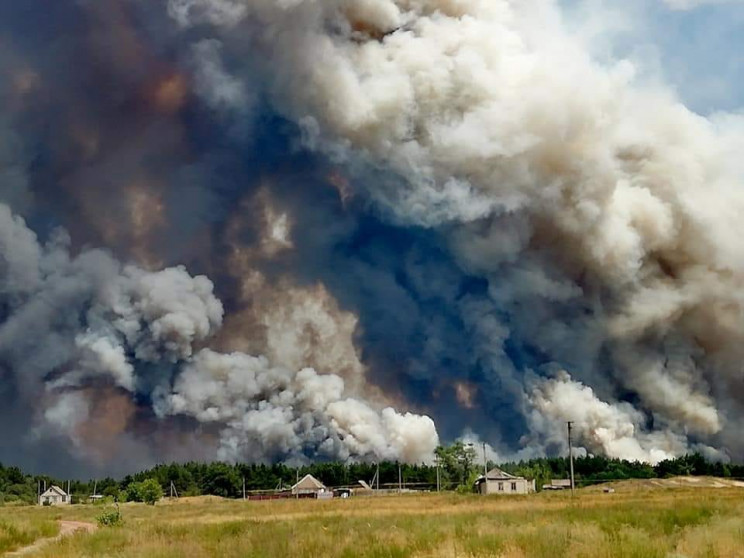 Лісові пожежі на Луганщині: Мешканці зби…