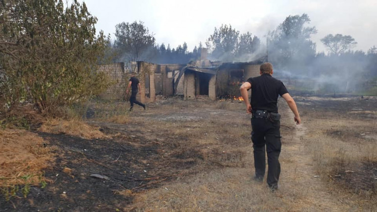 На Луганщине от лесных пожаров пострадал…