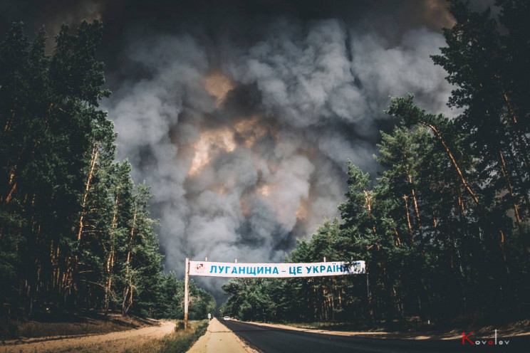 В Луганской области сгорело пять тысяч г…