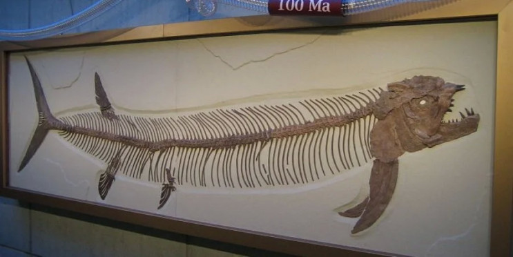 Палеонтологи знайшли шестиметрову хижу р…