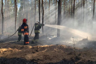 Лісові пожежі на Луганщині: Для повної л…