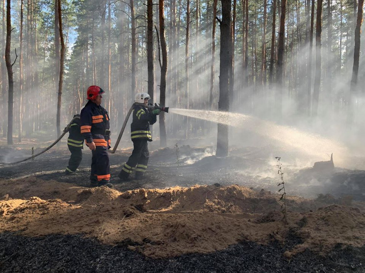 Лесные пожары на Луганщине: Для полной л…