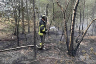 Пожар на Луганщине до сих пор тушат: Отк…