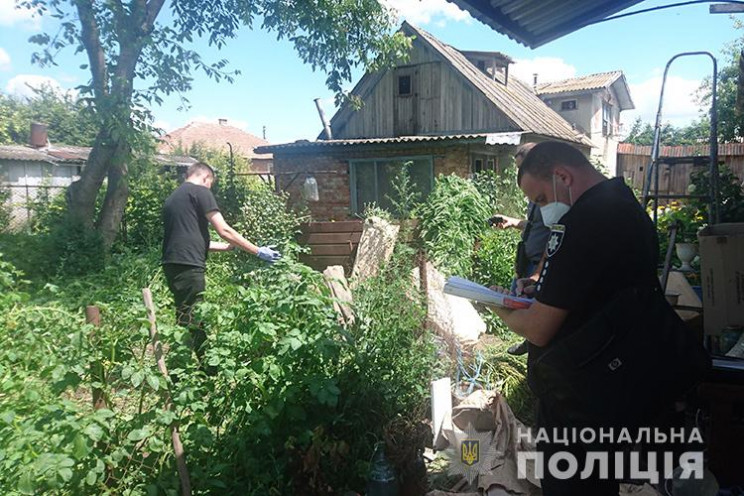 Цілу плантацію конопель та маку виявили…