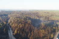 На Луганщине потушили лес, который горел…
