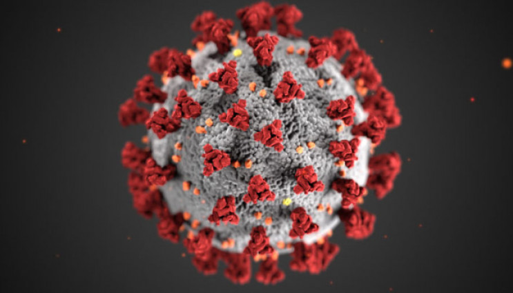 Минулої доби коронавірус діагностували щ…