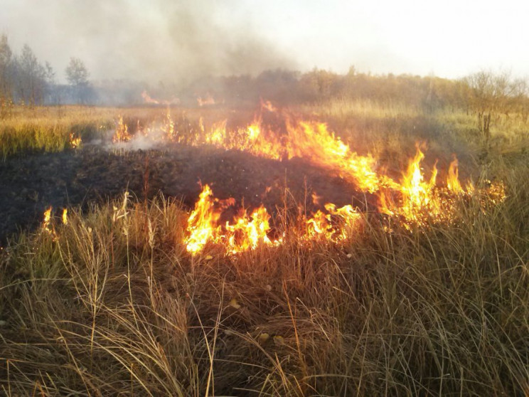 В Харькове загорелась сухая трава на пло…