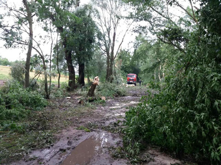 Як у Гощанському районі ліквідують наслі…