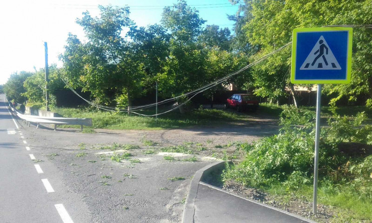 У Селищі дерево впало на дорогу і заблок…