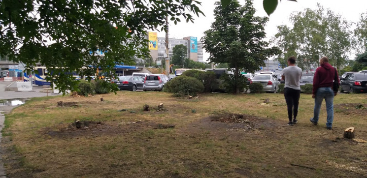 У центрі Дніпра через нову парковку знищ…