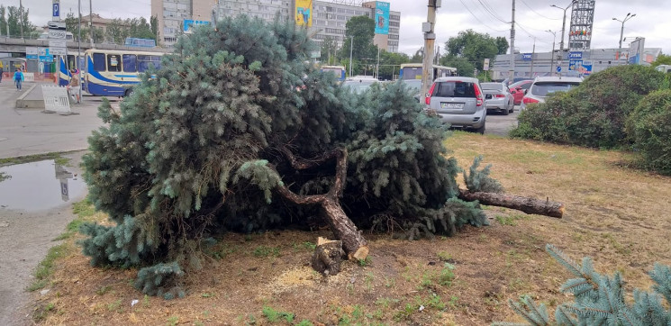 У міськраді Дніпра відреагували на знище…