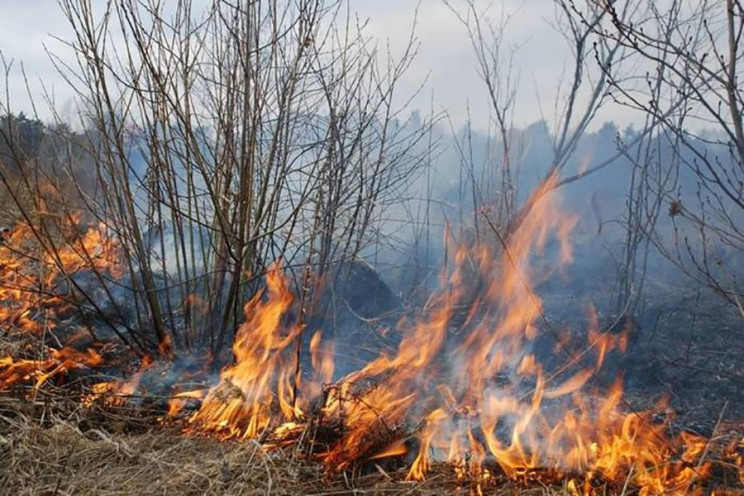 Мукачевцев предостерегают от сжигания су…