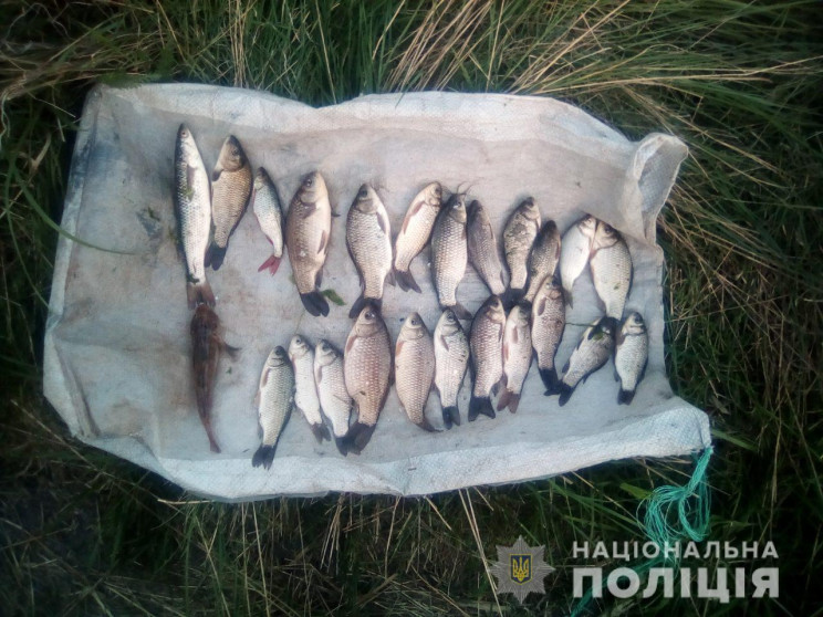 В Бердянске поймали браконьеров с красно…