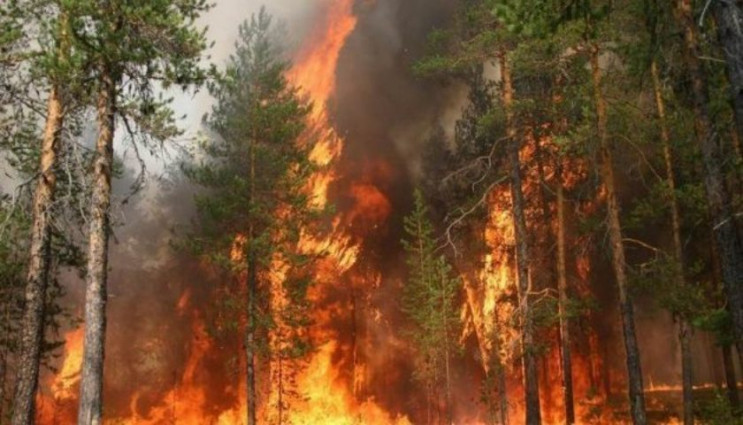 Число лісових пожеж в Харківській област…