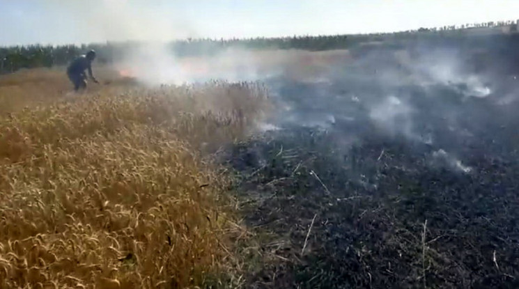 На Запоріжжі фермеру спалили поле пшениц…