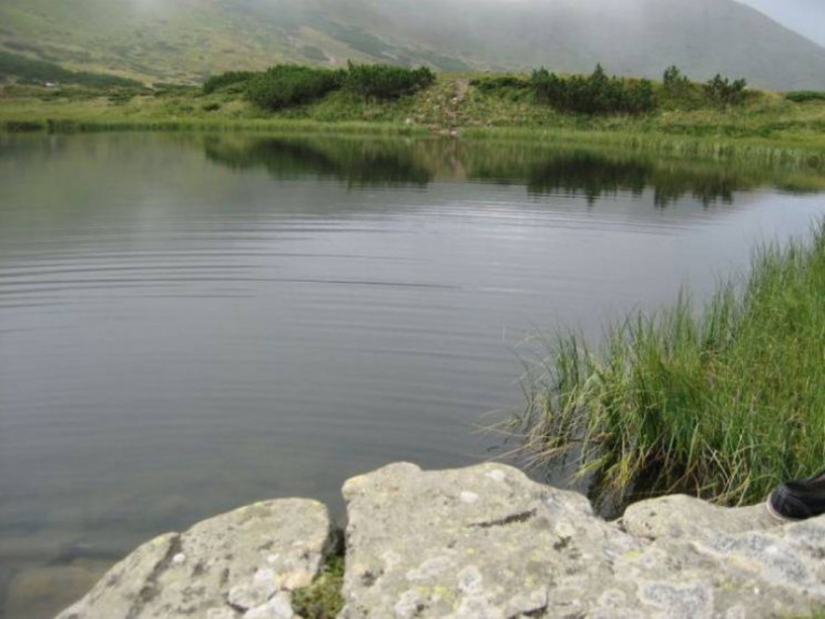 Замість моря: Які водойми Карпат роблять…