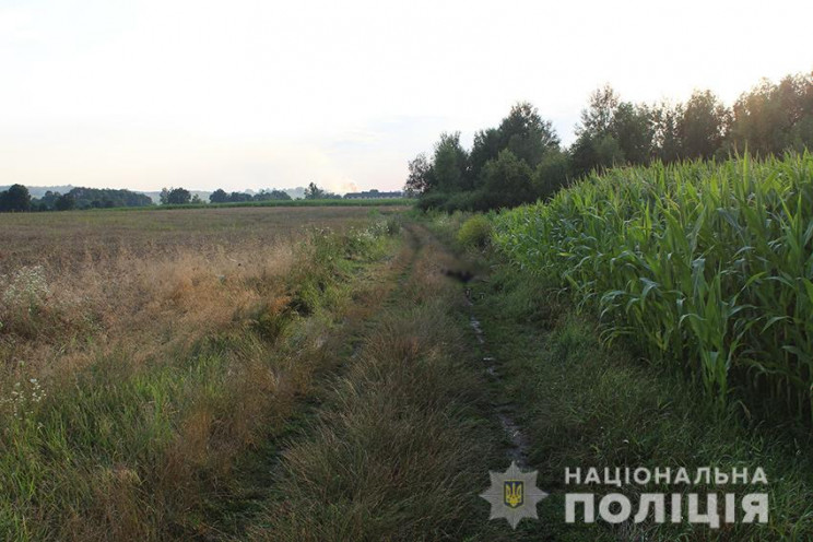 На Хмельниччині водій переїхав чоловіка…