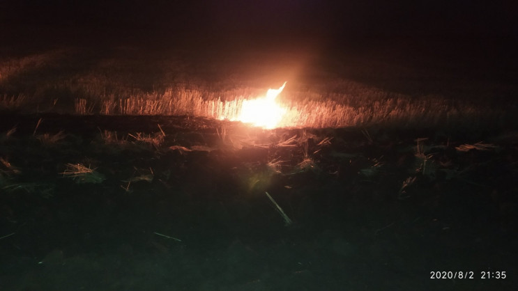 На Харківщині невідомий підпалив поле та…