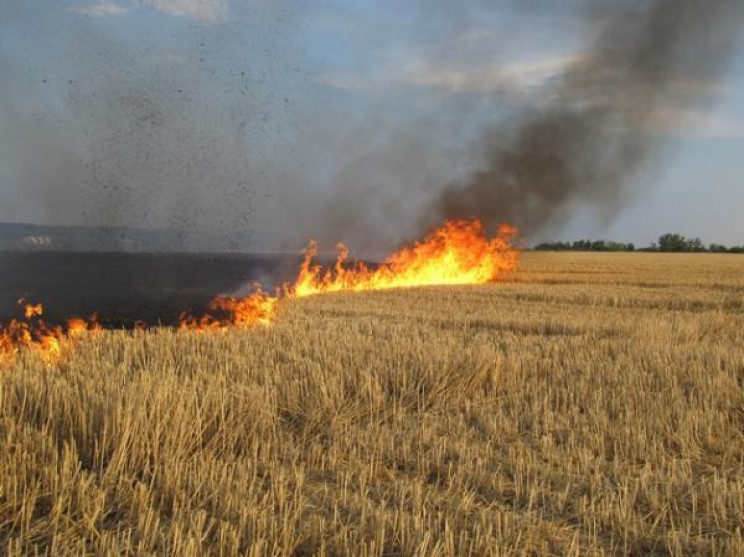 На Красилівщині горів комбайн та поле…
