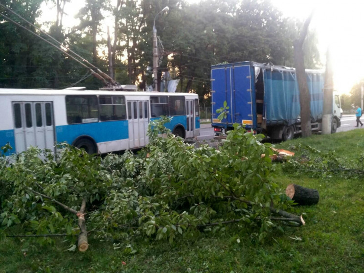 На Київській зламане дерево привалило ав…