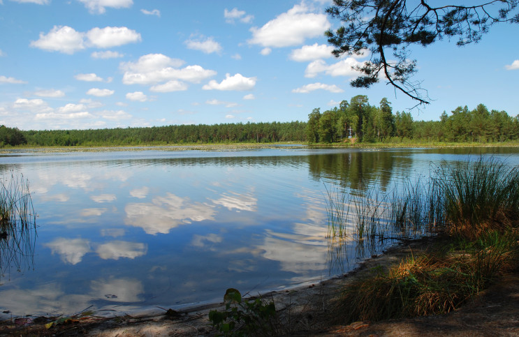 На Львівщині втопився чоловік…