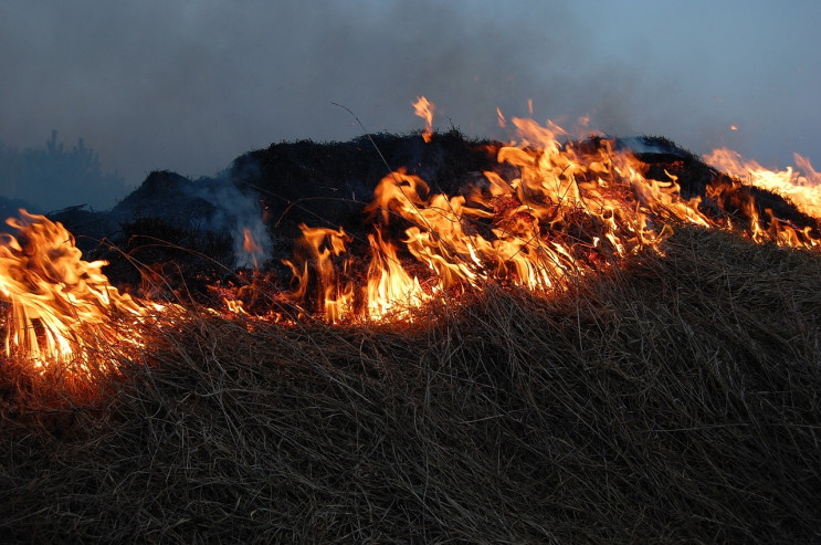 У Запорізькій області згоріли майже 35 г…