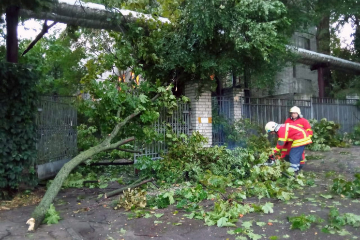 У Дніпрі негода валила дерева на дороги…