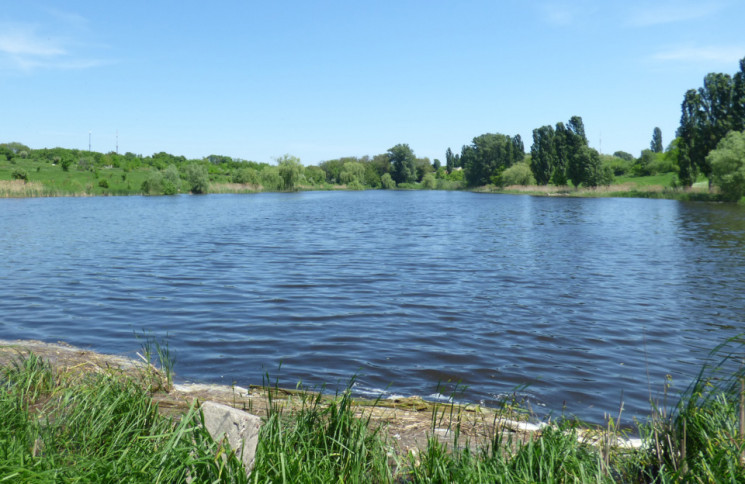В Берегово в озере утонул 4-летний мальч…