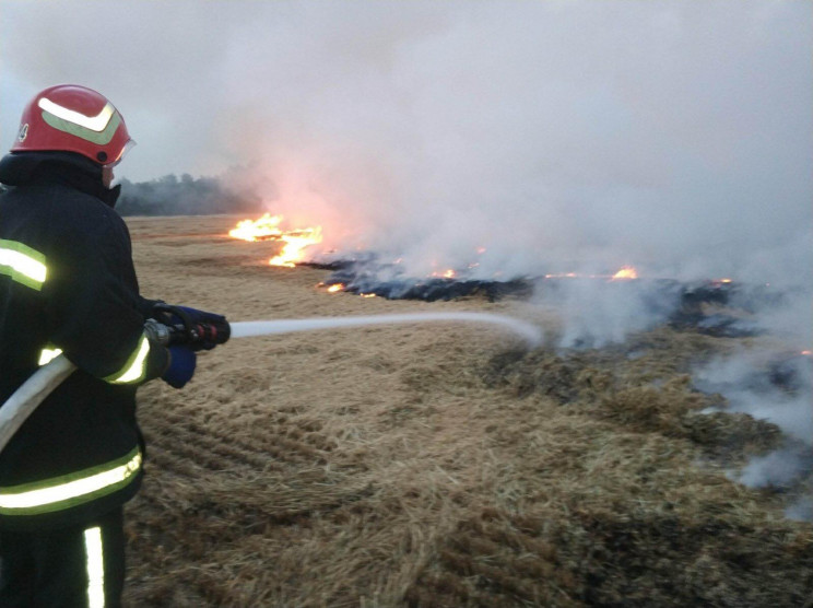 На Вінниччині згоріло понад 10 гектарів…