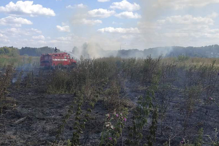 У Хмельницькому горіло 10 гектарів сухої…