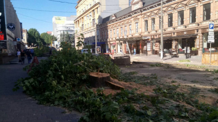 На вулиці у центрі Дніпра з'явилося залі…